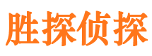 城中侦探公司